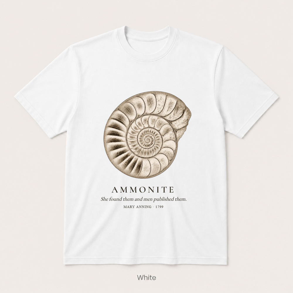 Ammonite - Mary Anning — Off White