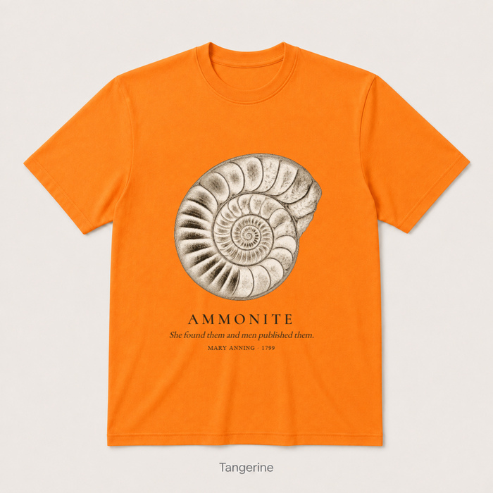 Ammonite - Mary Anning — Tangerine