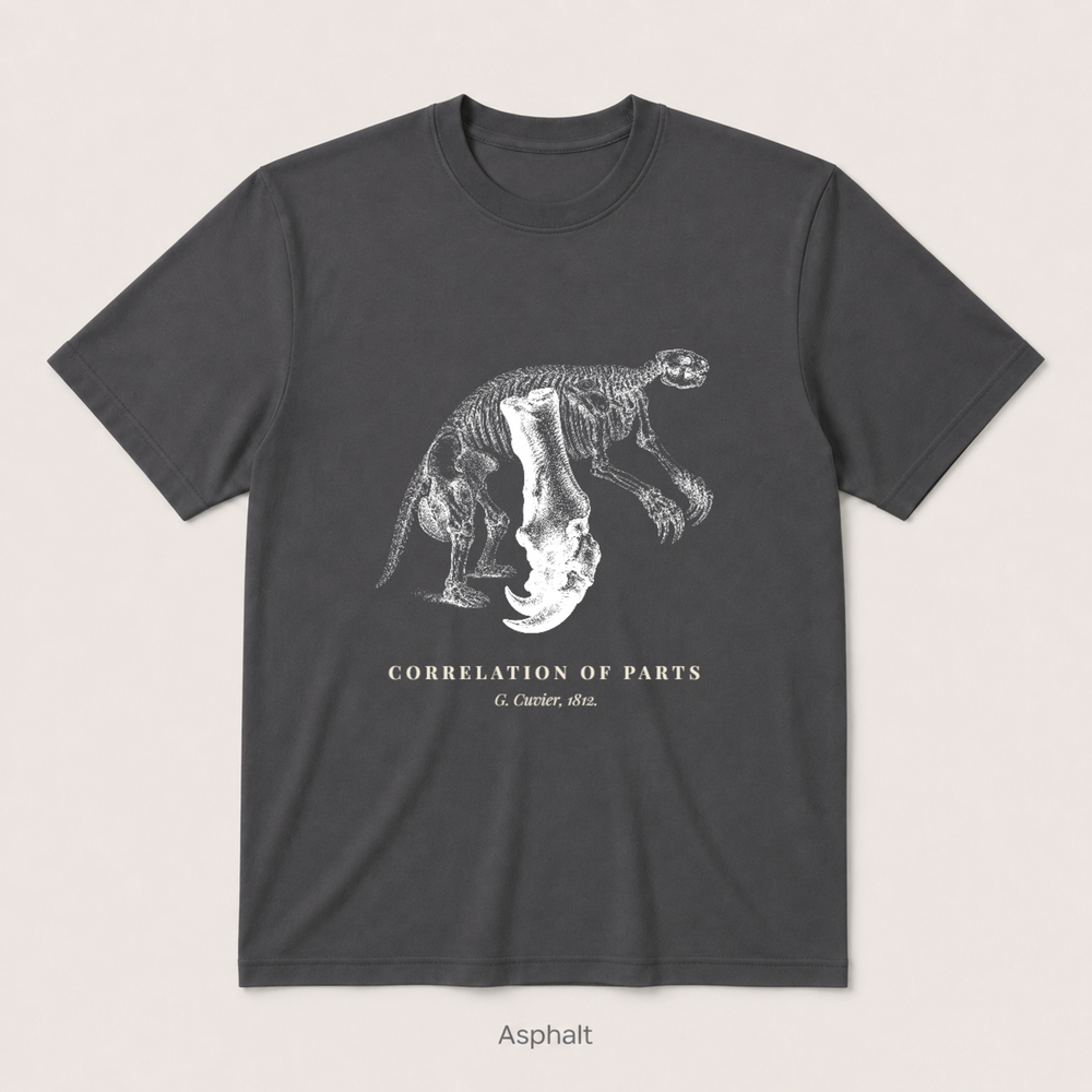 Corelation of Parts - G. Cuvier — Asphalt