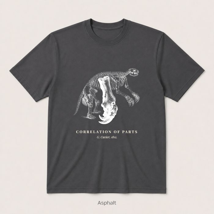 Corelation of Parts - G. Cuvier — Asphalt