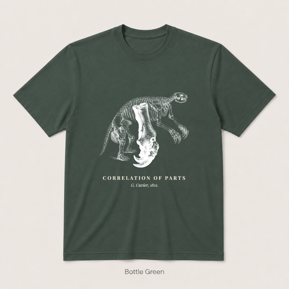 Corelation of Parts - G. Cuvier — Bottle Green