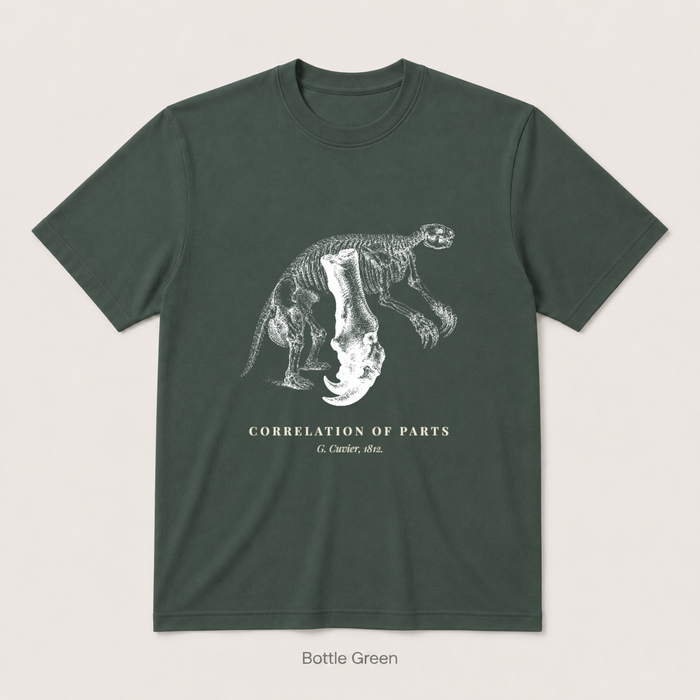 Corelation of Parts - G. Cuvier — Bottle Green