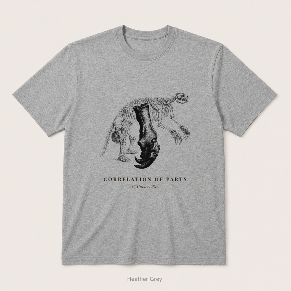Corelation of Parts - G. Cuvier — Heather Grey