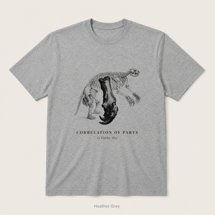 Corelation of Parts - G. Cuvier — Heather Grey