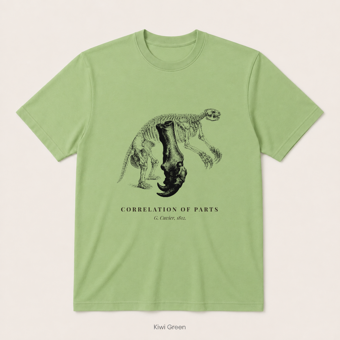 Corelation of Parts - G. Cuvier — Kiwi Green