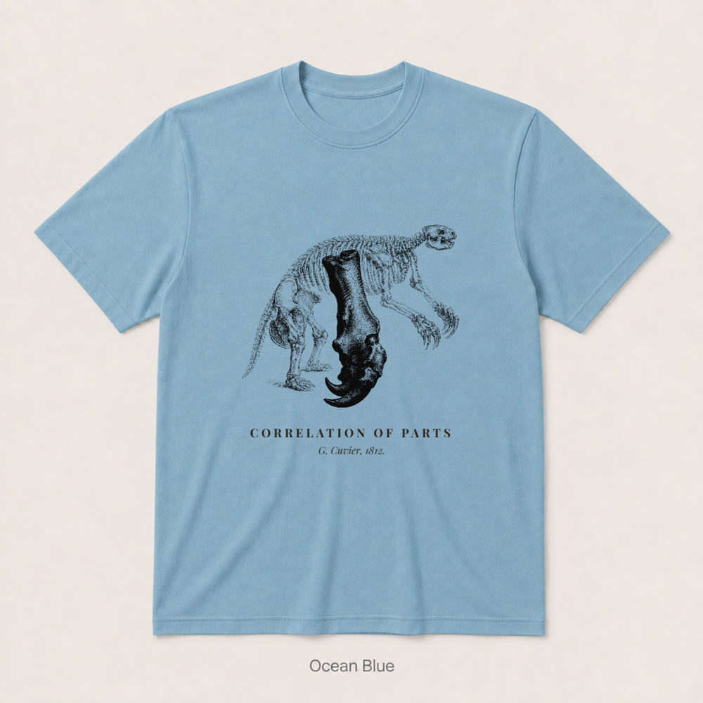 Corelation of Parts - G. Cuvier — Ocean Blue