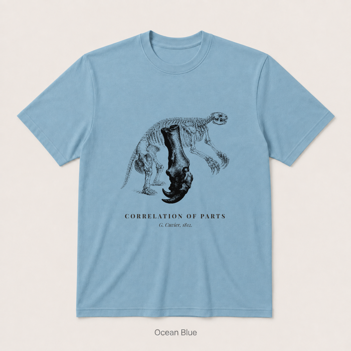 Corelation of Parts - G. Cuvier — Ocean Blue