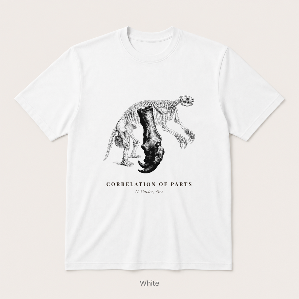 Corelation of Parts - G. Cuvier — Off White