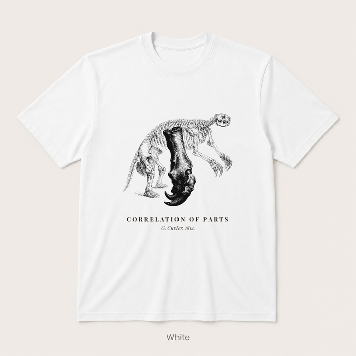 Corelation of Parts - G. Cuvier — Off White