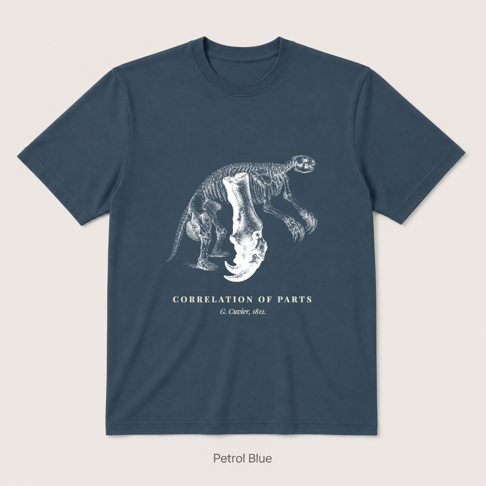 Corelation of Parts - G. Cuvier — Petrol Blue