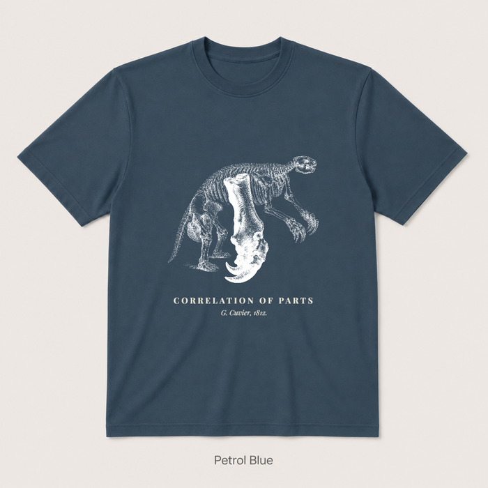 Corelation of Parts - G. Cuvier — Petrol Blue