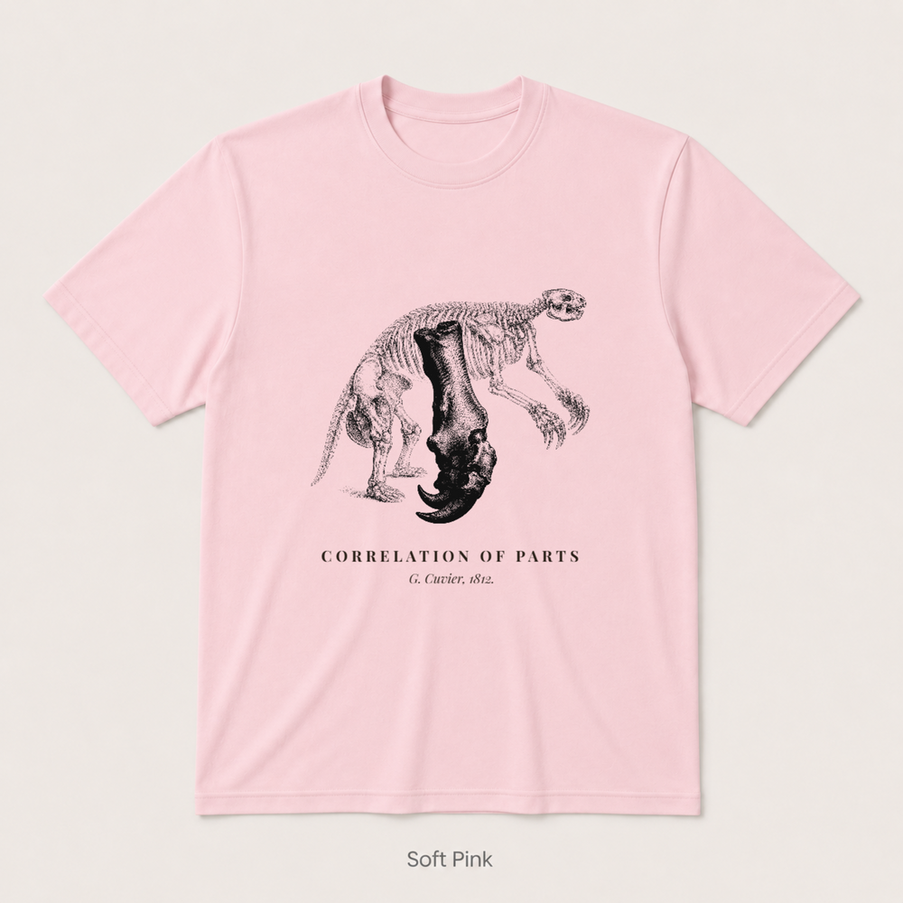 Corelation of Parts - G. Cuvier — Soft Pink