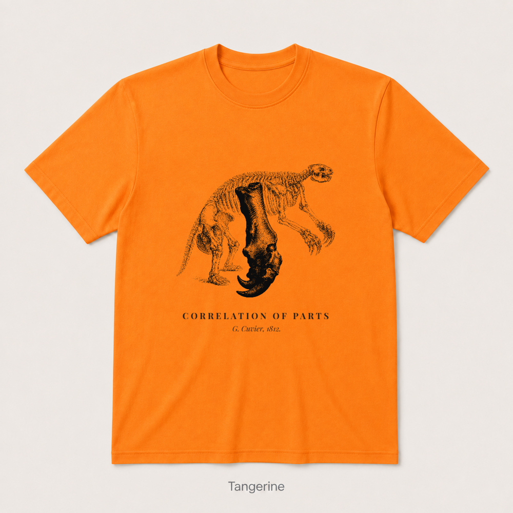 Corelation of Parts - G. Cuvier — Tangerine