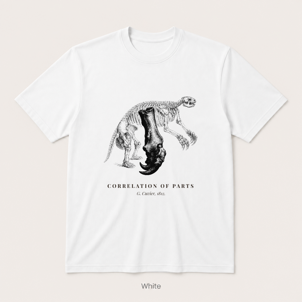 Corelation of Parts - G. Cuvier — White