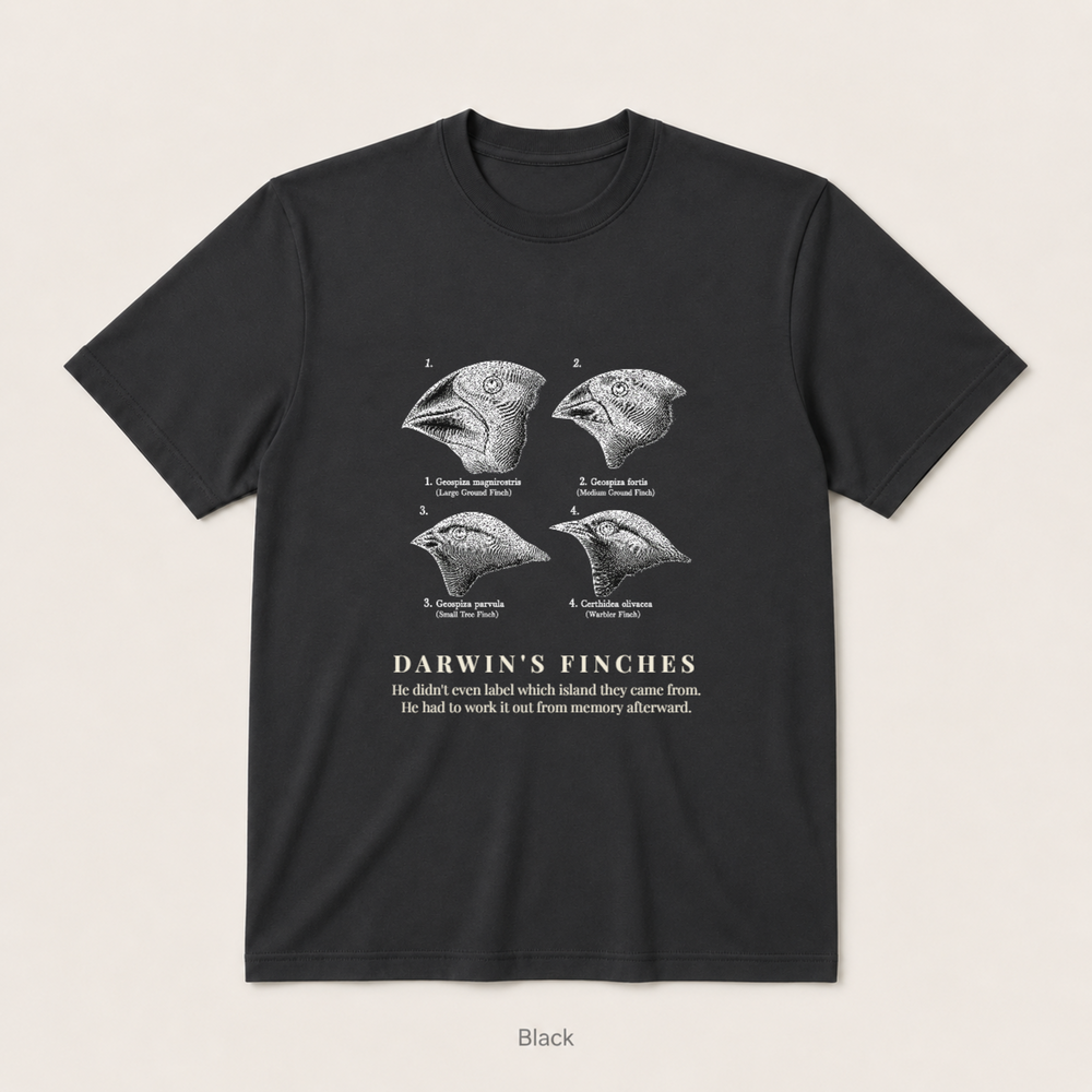Darwin's Finches — Black