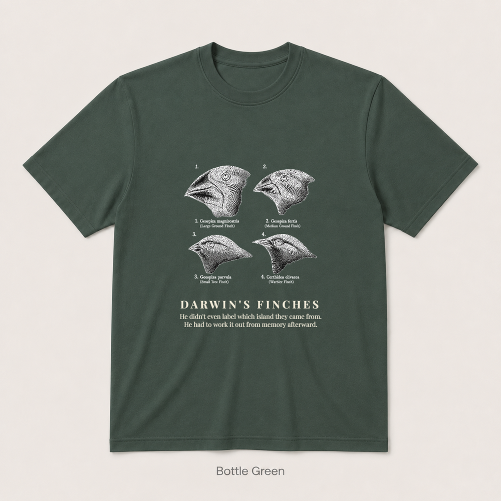 Darwin's Finches — Bottle Green