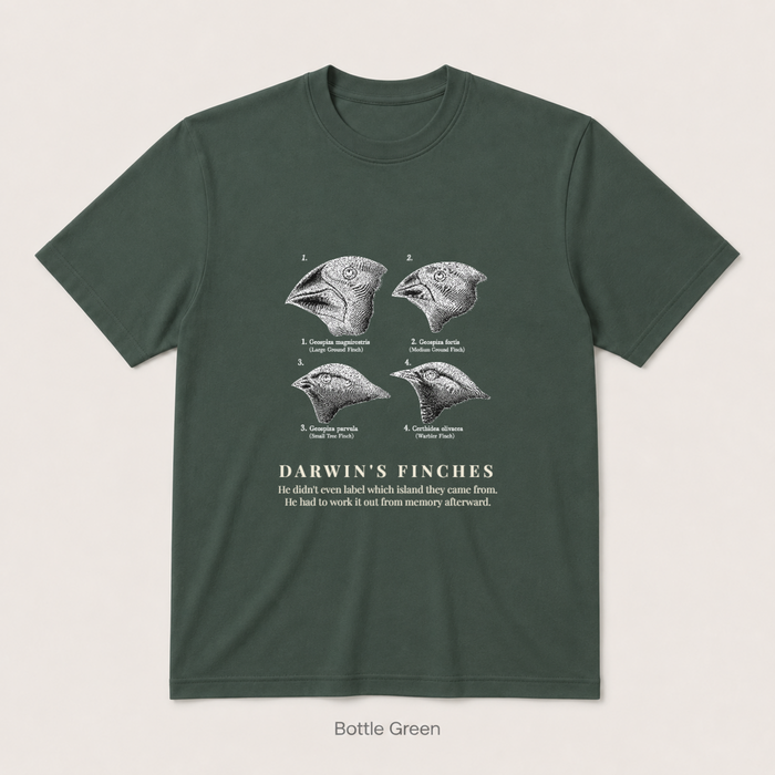Darwin's Finches — Bottle Green