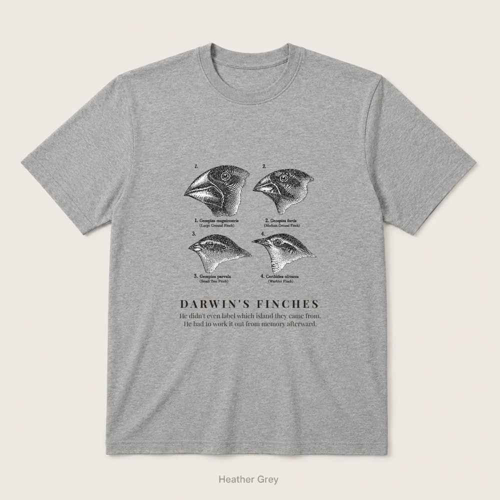 Darwin's Finches — Heather Grey