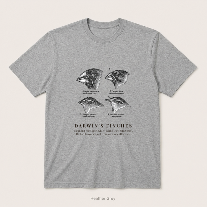 Darwin's Finches — Heather Grey