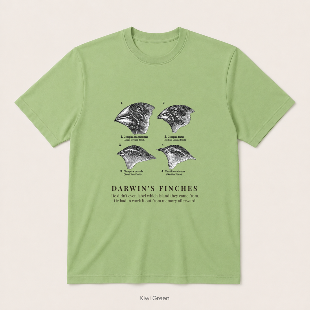 Darwin's Finches — Kiwi Green