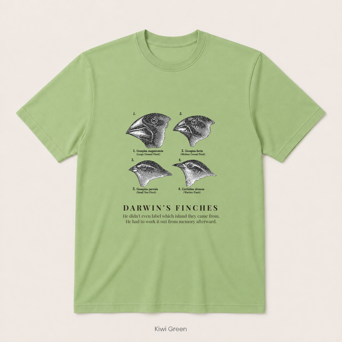 Darwin's Finches — Kiwi Green