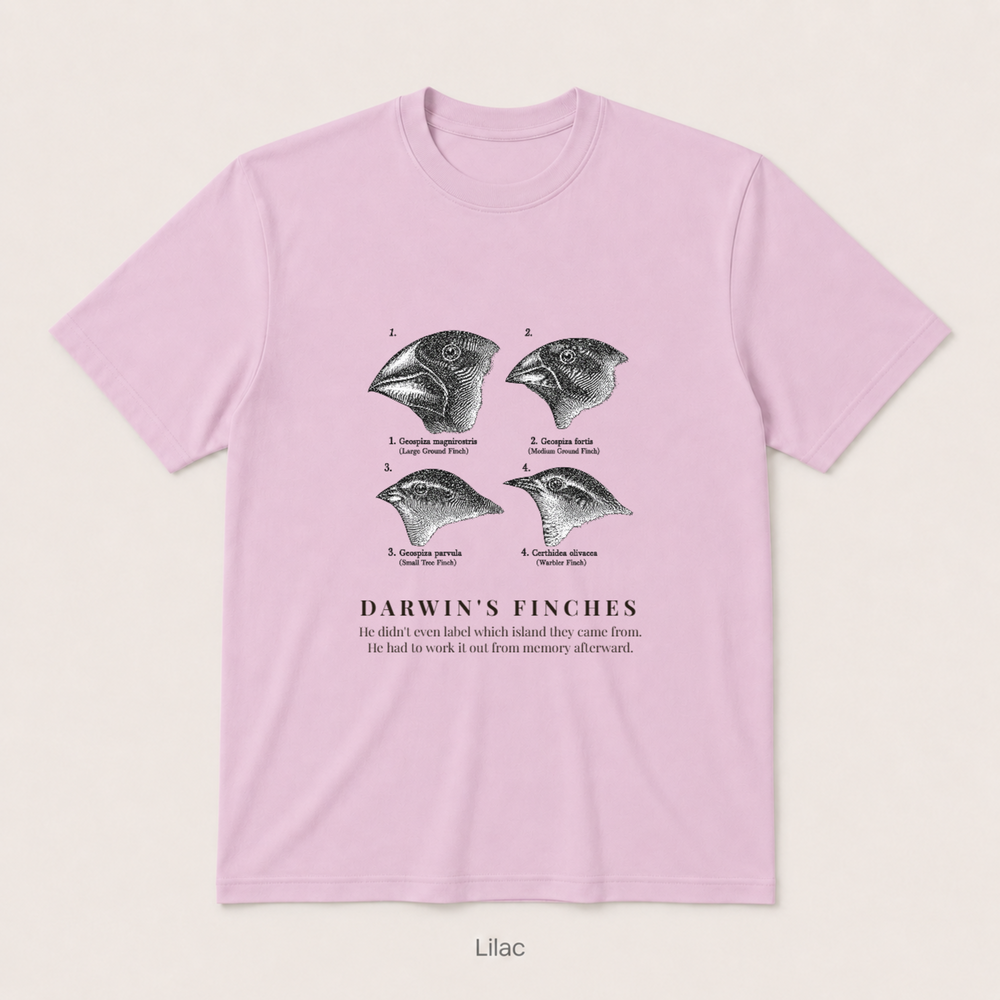 Darwin's Finches — Lilac