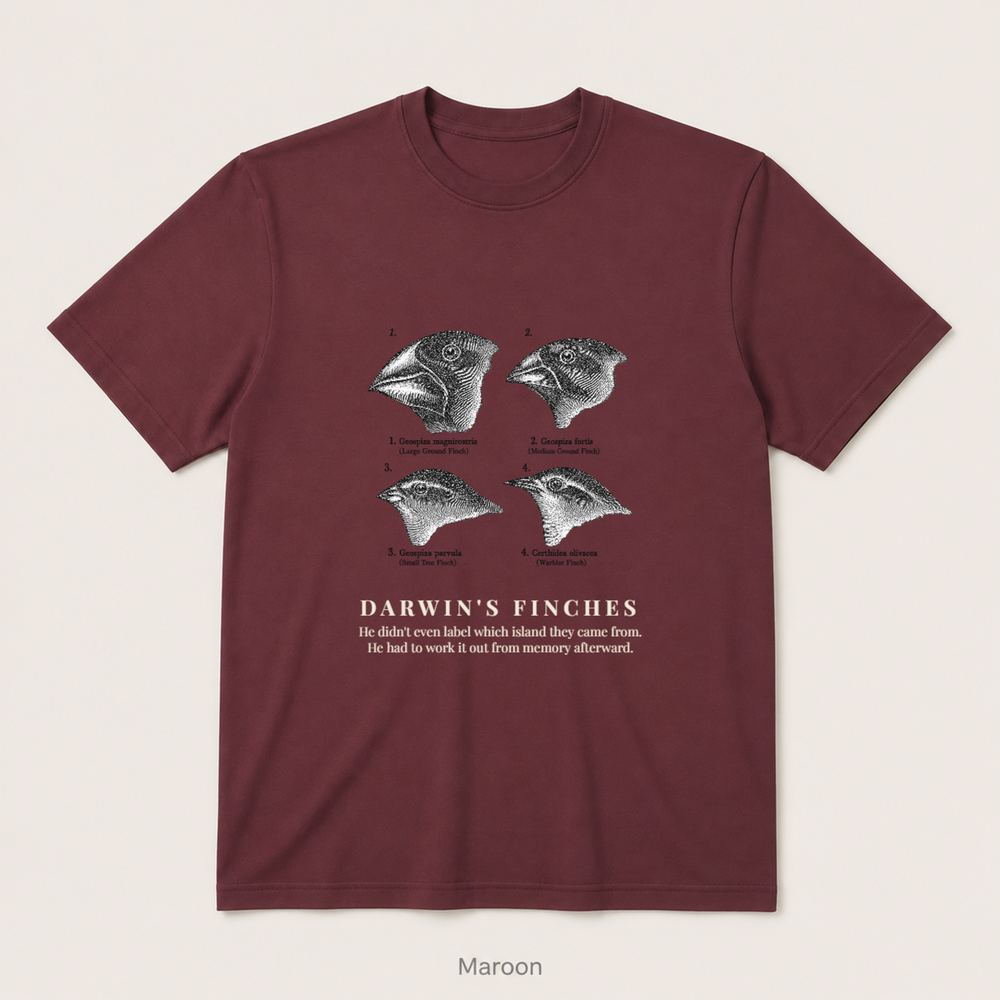 Darwin's Finches — Maroon