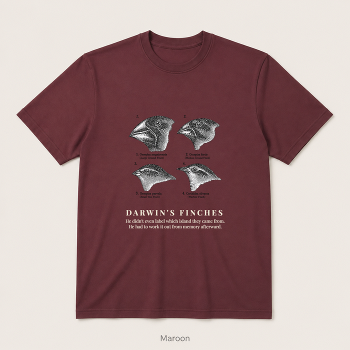 Darwin's Finches — Maroon