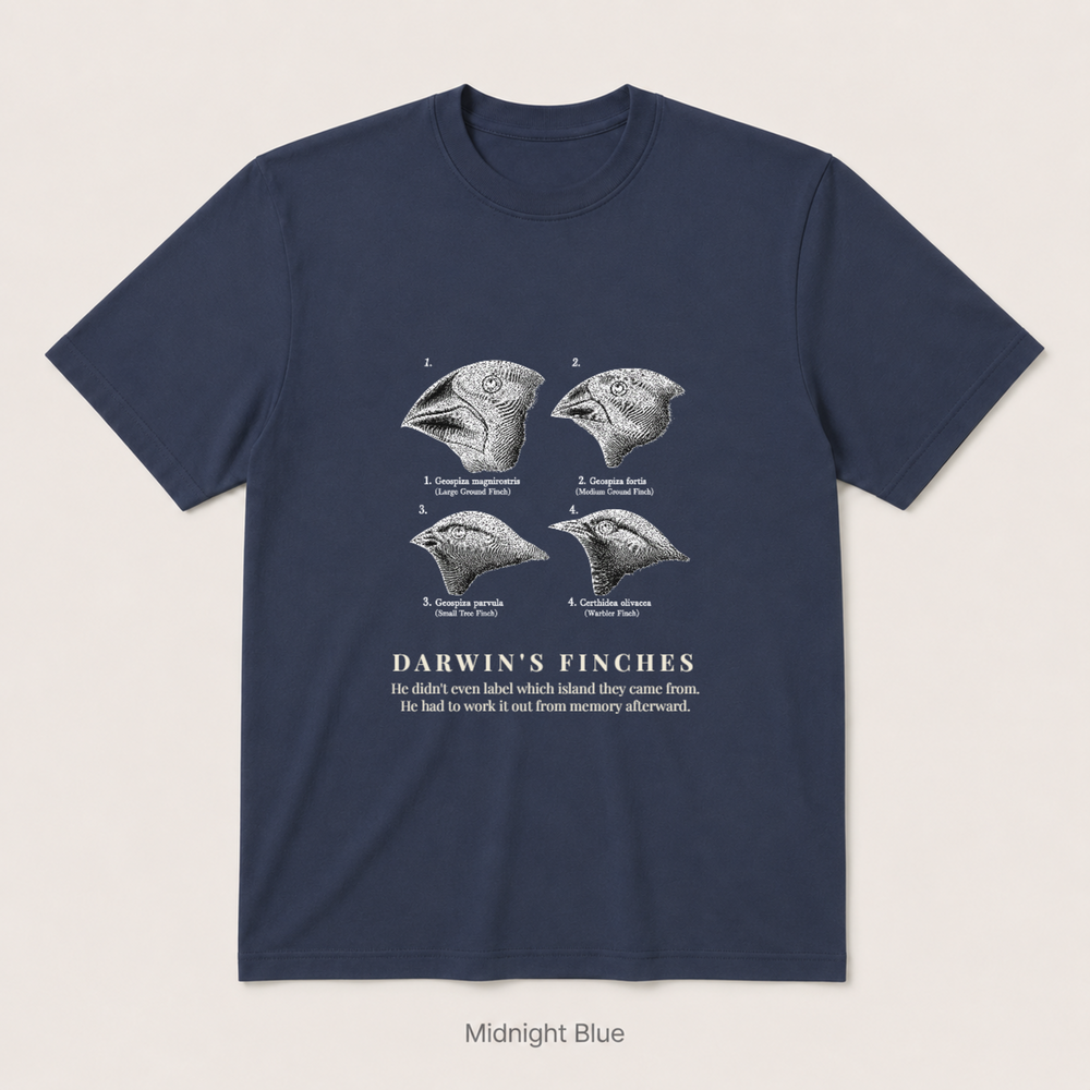 Darwin's Finches — Midnight Blue