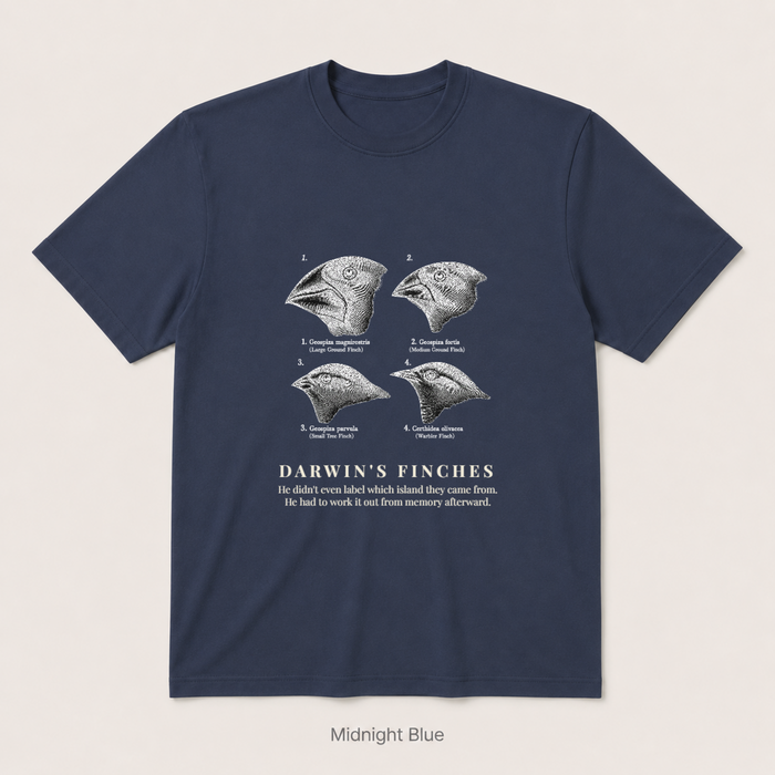 Darwin's Finches — Midnight Blue
