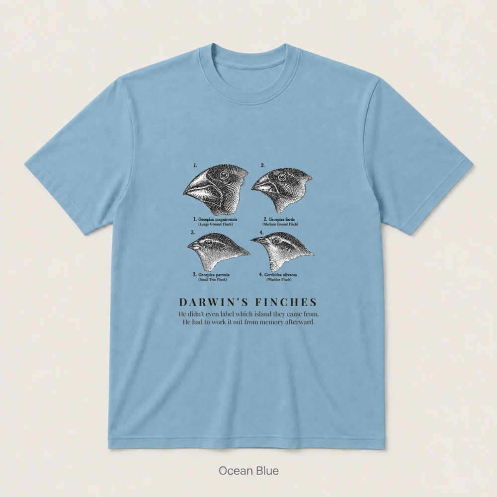 Darwin's Finches — Ocean Blue