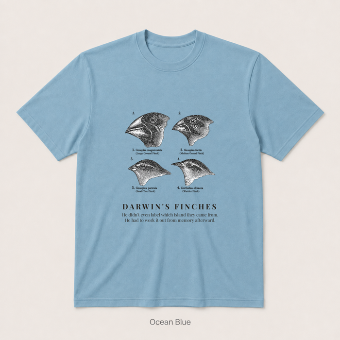 Darwin's Finches — Ocean Blue