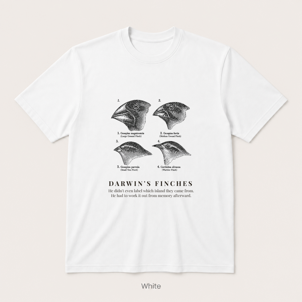 Darwin's Finches — Off White