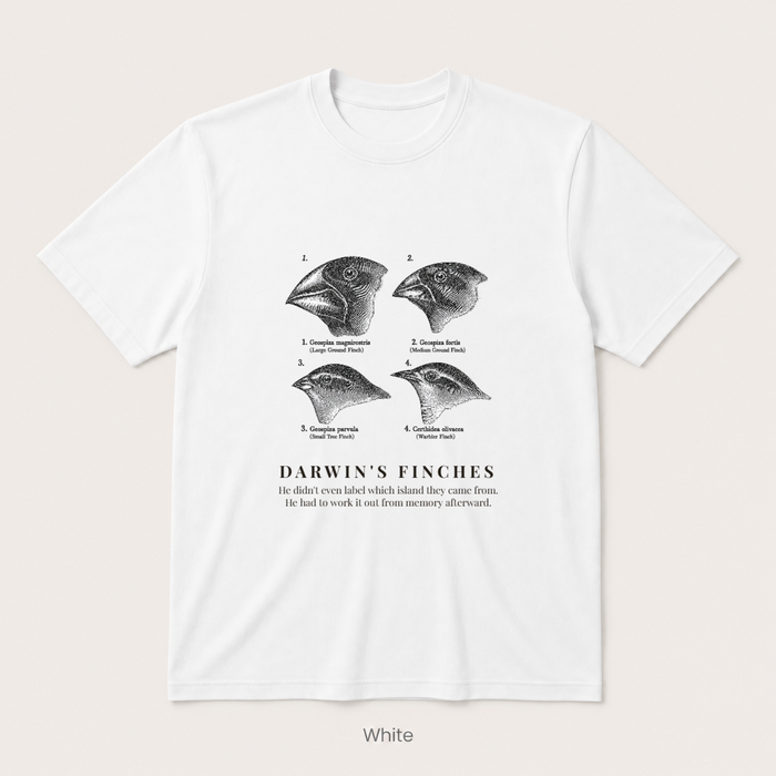 Darwin's Finches — Off White
