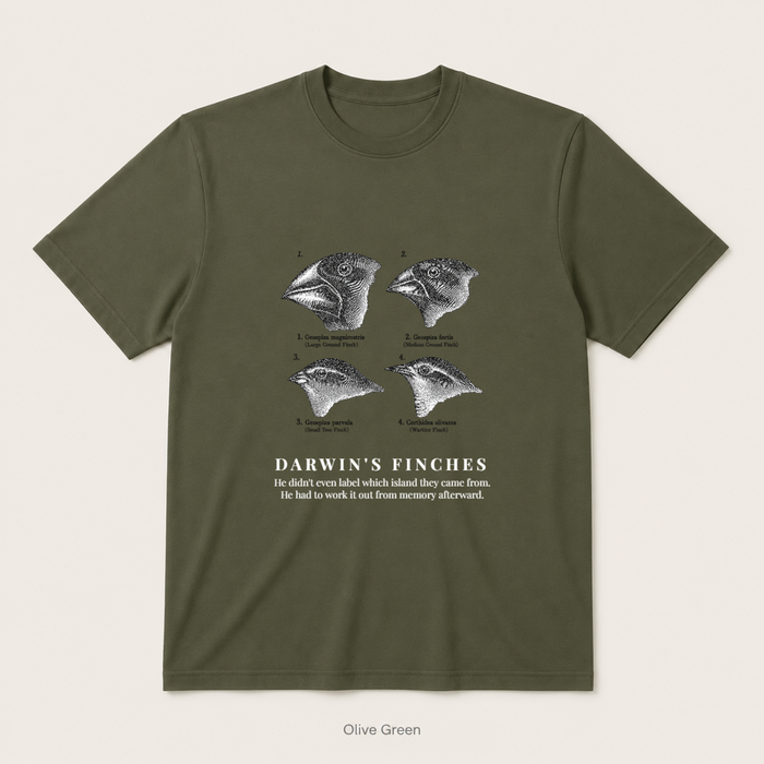 Darwin's Finches — Olive Green