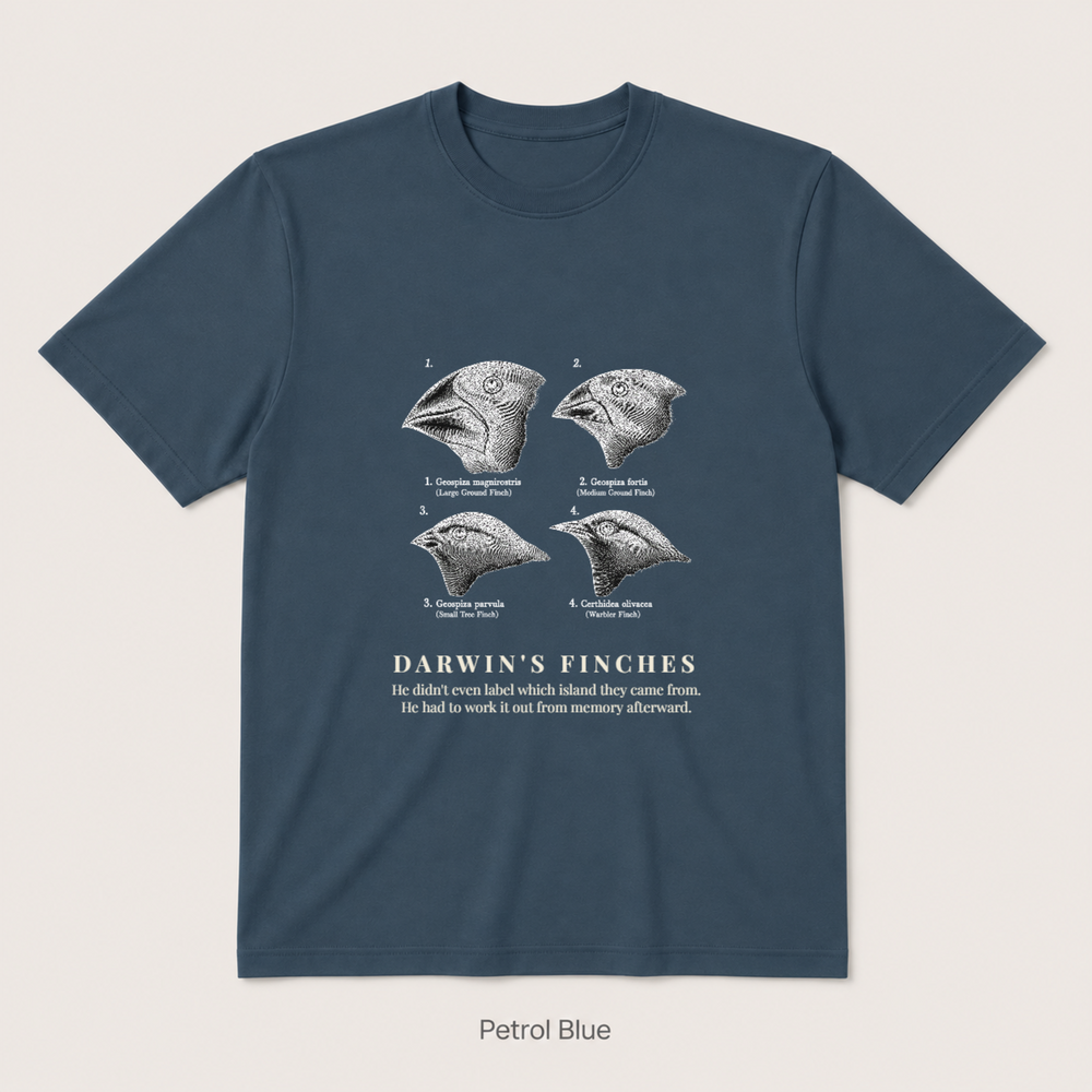 Darwin's Finches — Petrol Blue