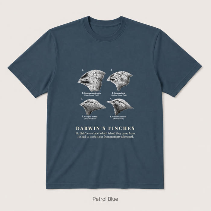 Darwin's Finches — Petrol Blue