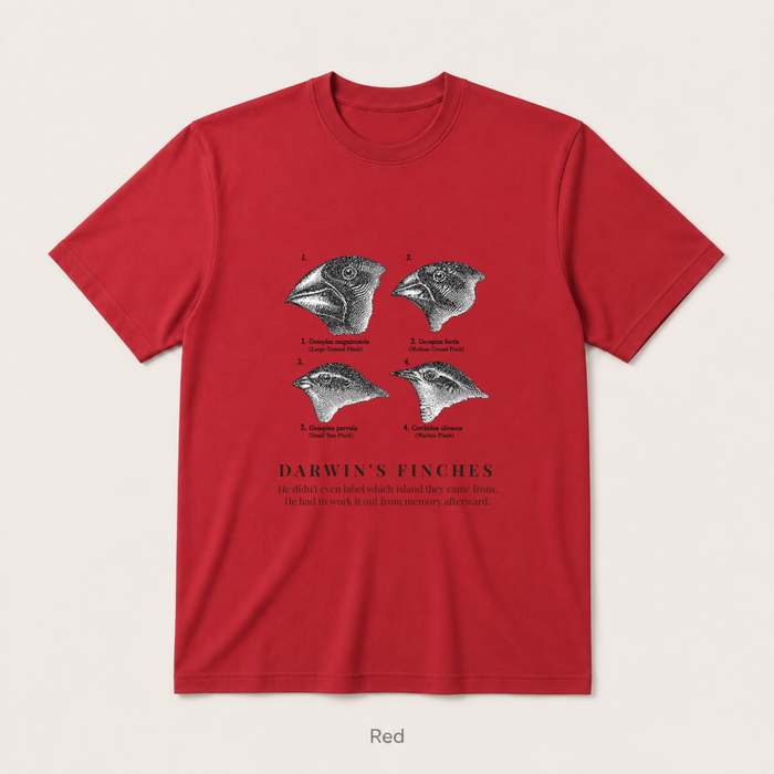 Darwin's Finches — Red