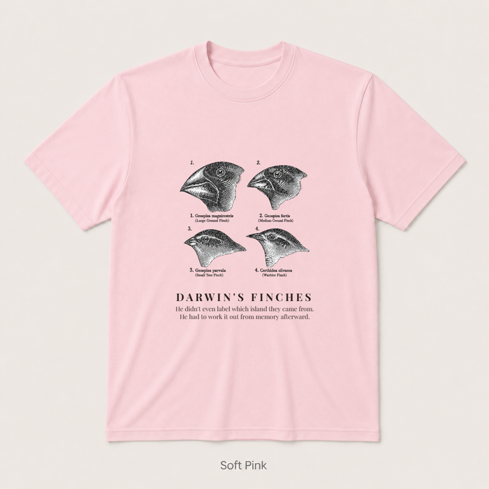 Darwin's Finches — Soft Pink