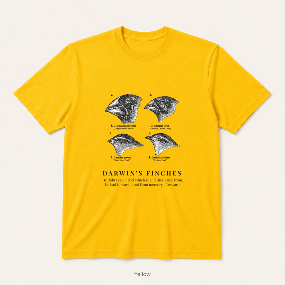 Darwin's Finches — Yellow