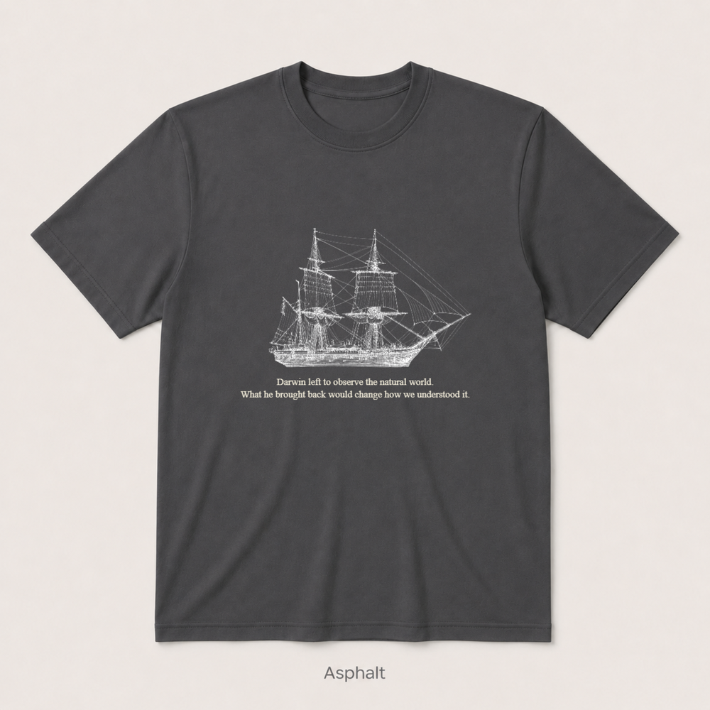 HMS Beagle — Asphalt