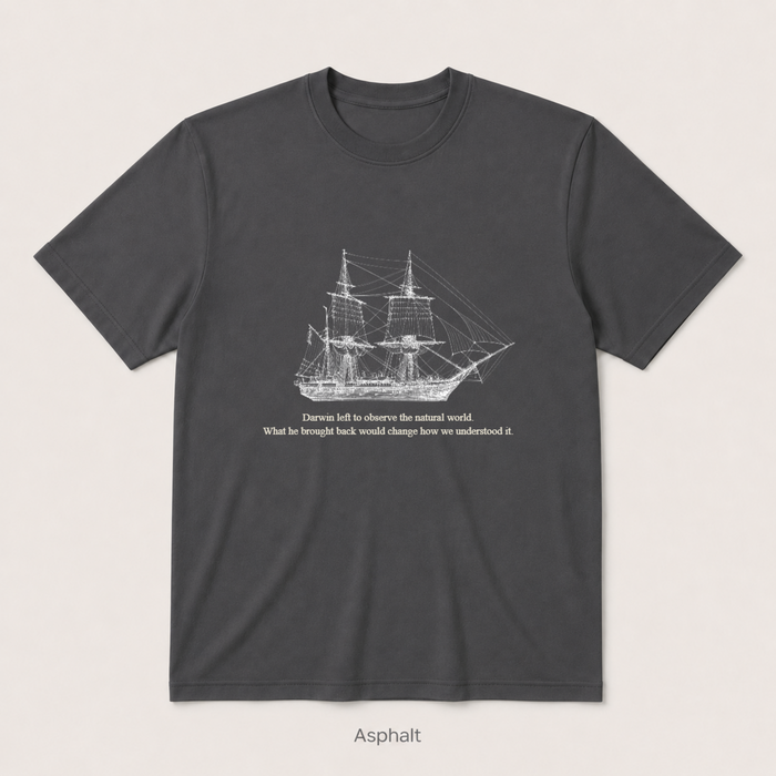 HMS Beagle — Asphalt