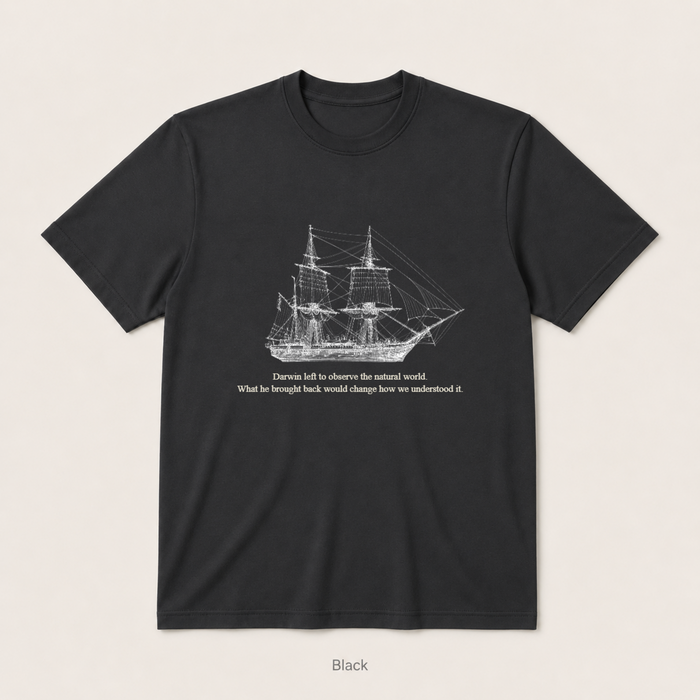 HMS Beagle — Black