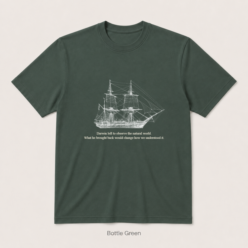 HMS Beagle — Bottle Green