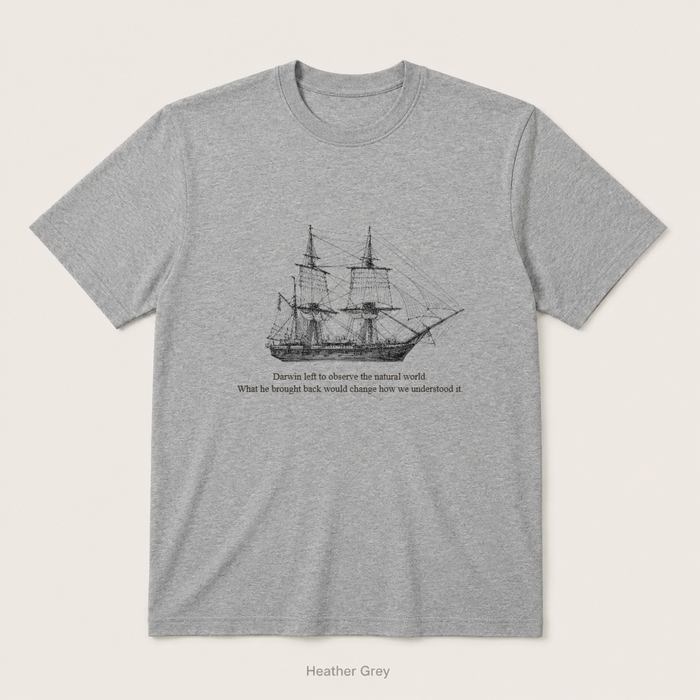 HMS Beagle — Heather Grey