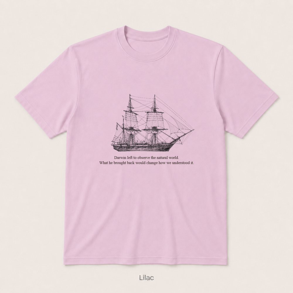 HMS Beagle — Lilac