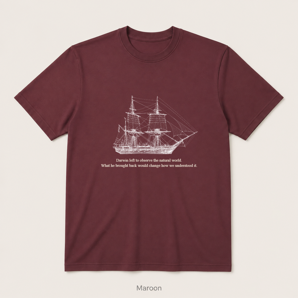 HMS Beagle — Maroon
