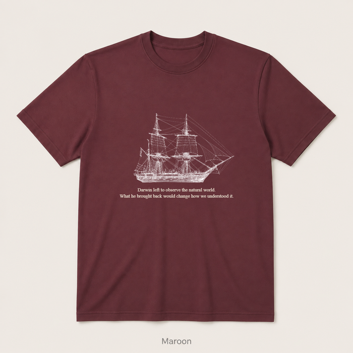 HMS Beagle — Maroon