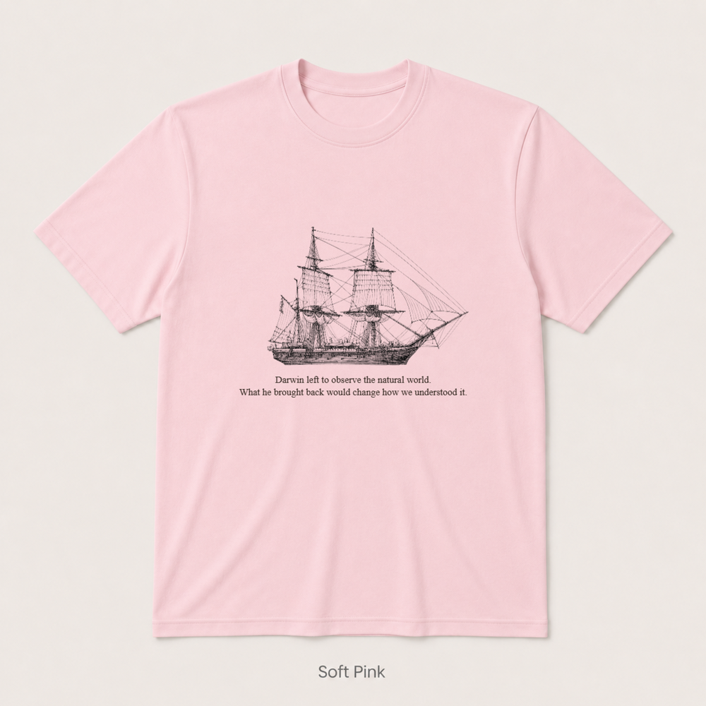 HMS Beagle — Soft Pink