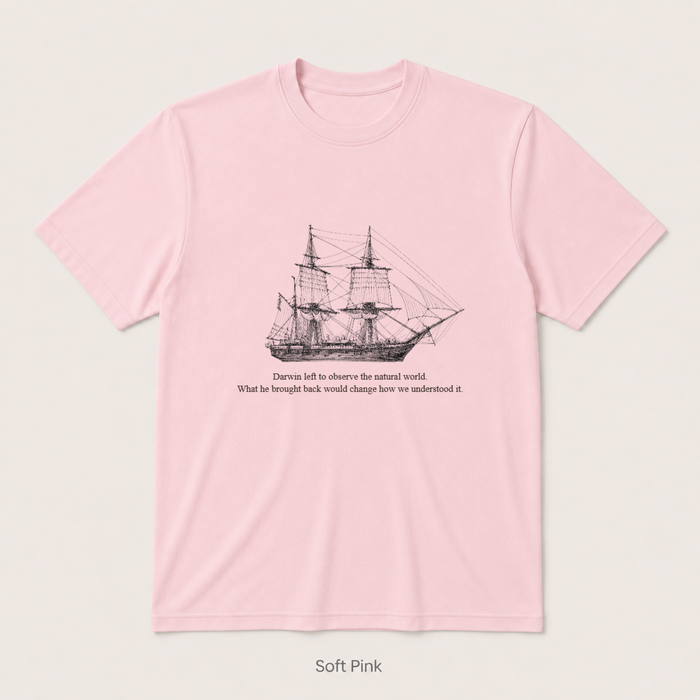 HMS Beagle — Soft Pink